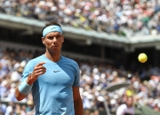 开云体育中国-意大利网球队强势日本网球队，纳达尔统治全场的简单介绍