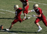 开云下载-绿茵场上的猛龙，德甲争冠焦点战启示录—当坚韧终结霸权