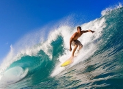 开云体育平台APP-老鹰收割魔术，布伦森关键战不手软，新星崛起与团队韧性的双重奏