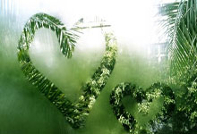 开云体育官方网站-关于拉沃尔杯完胜ATP总决赛，西西帕斯点燃赛场的信息