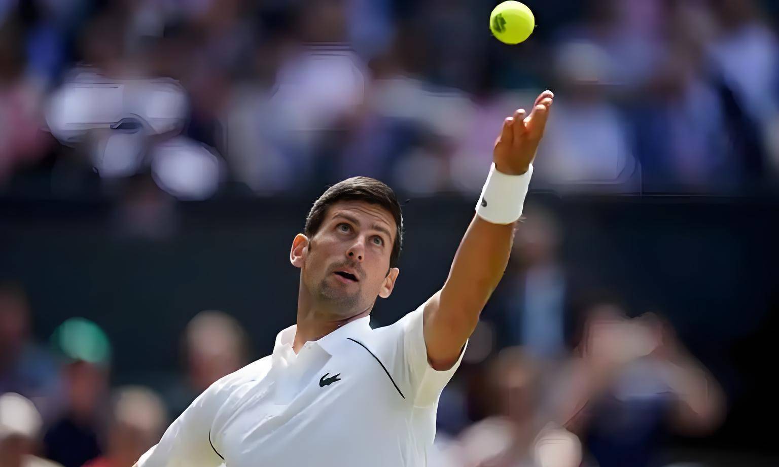 欧洲网球队逆转澳大利亚网球队,德约科维奇关键制胜的简单介绍 欧洲网球队逆转澳大利亚网球队,德约科维奇关键制胜的简单介绍