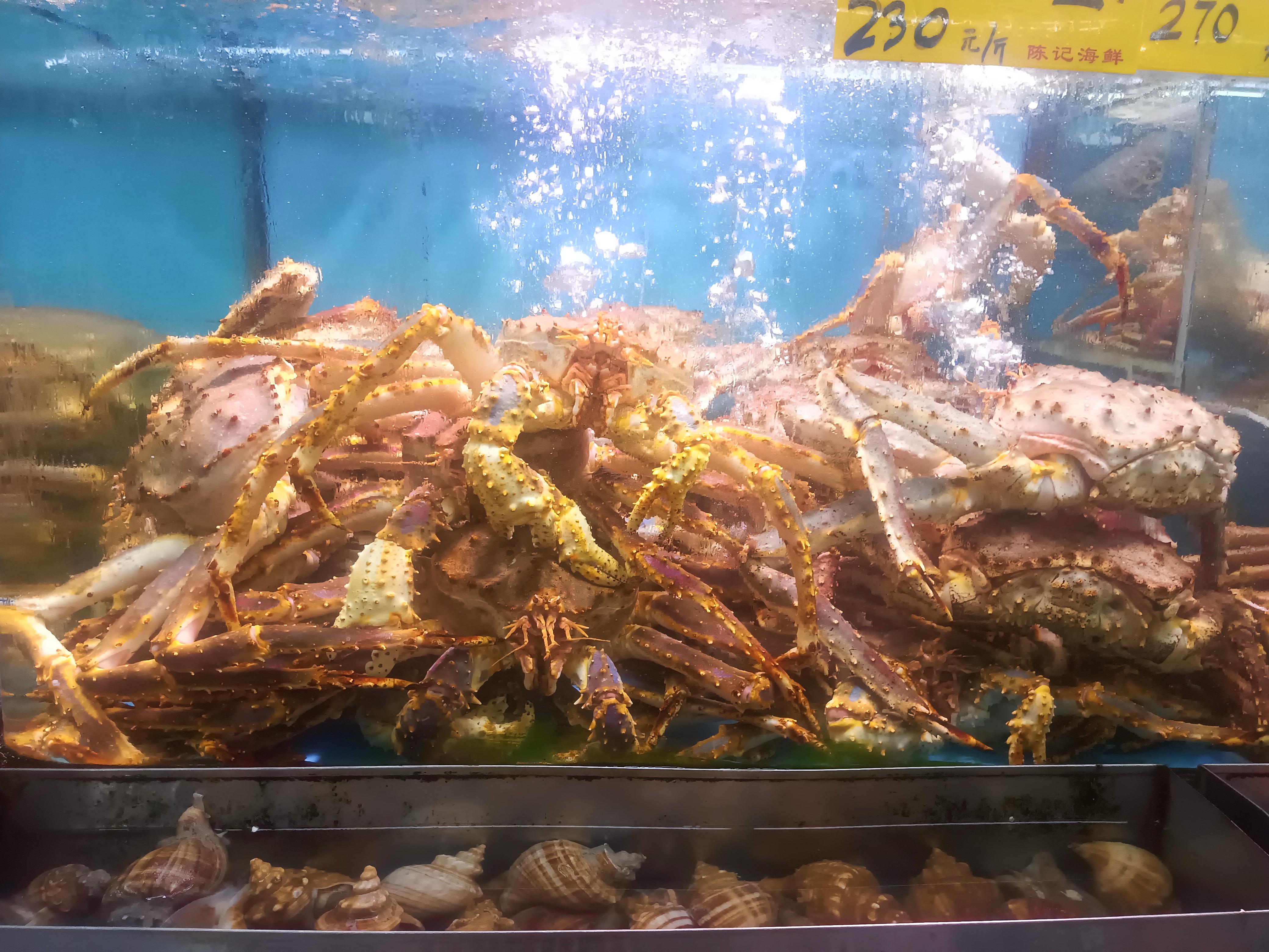 无虾井深海生物团积狂暴袭击海鲜养殖基地 无虾井深海生物团积狂暴袭击海鲜养殖基地