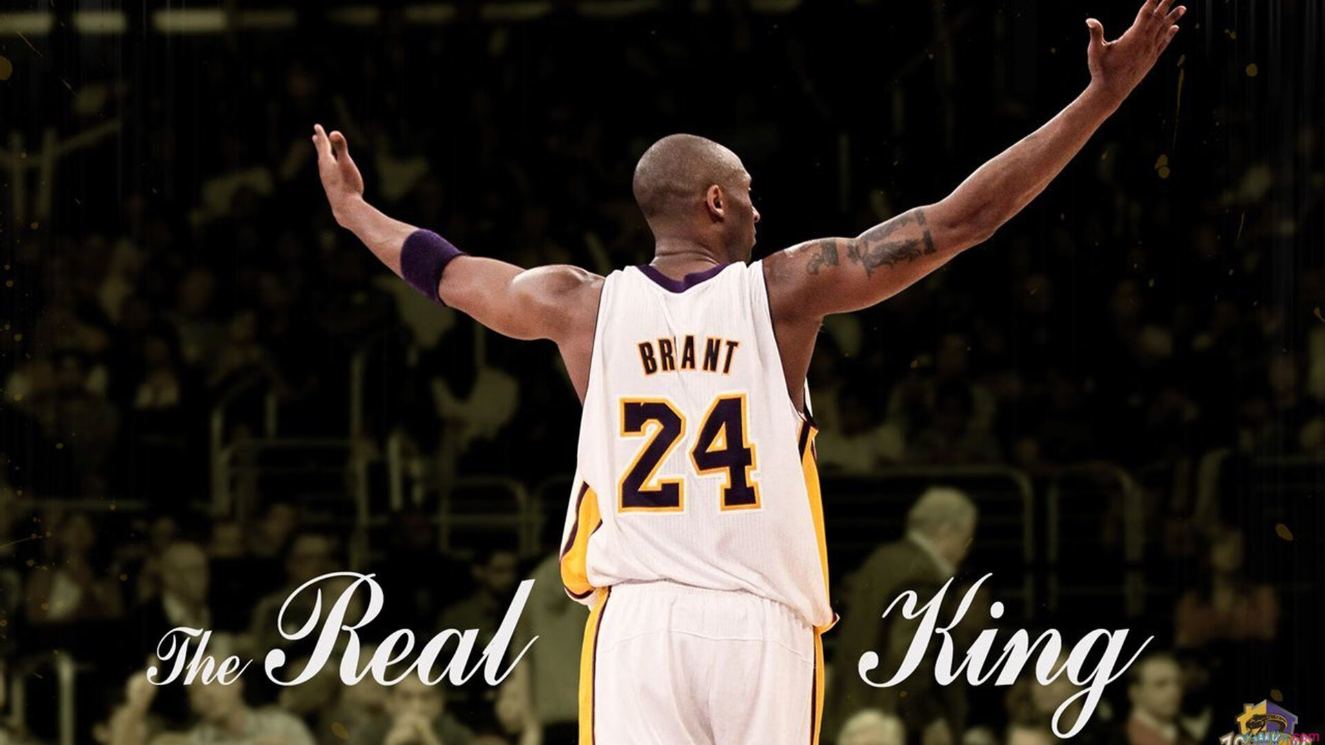 从红土到硬地,穆雷单骑救主,戴维斯杯的团队荣光如何碾压蒙特卡洛的孤星战场