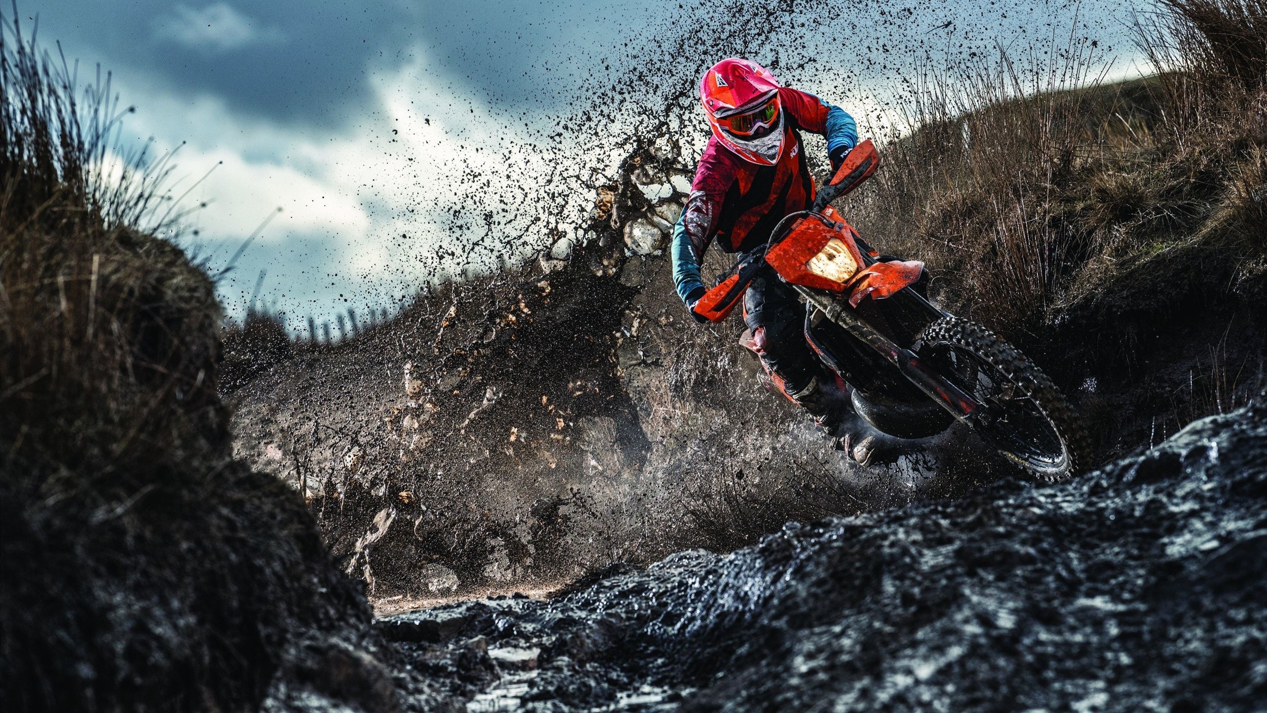 从维也纳到成都,当逆转的火焰被传奇点燃—记中奥之战与马龙的赛场光芒