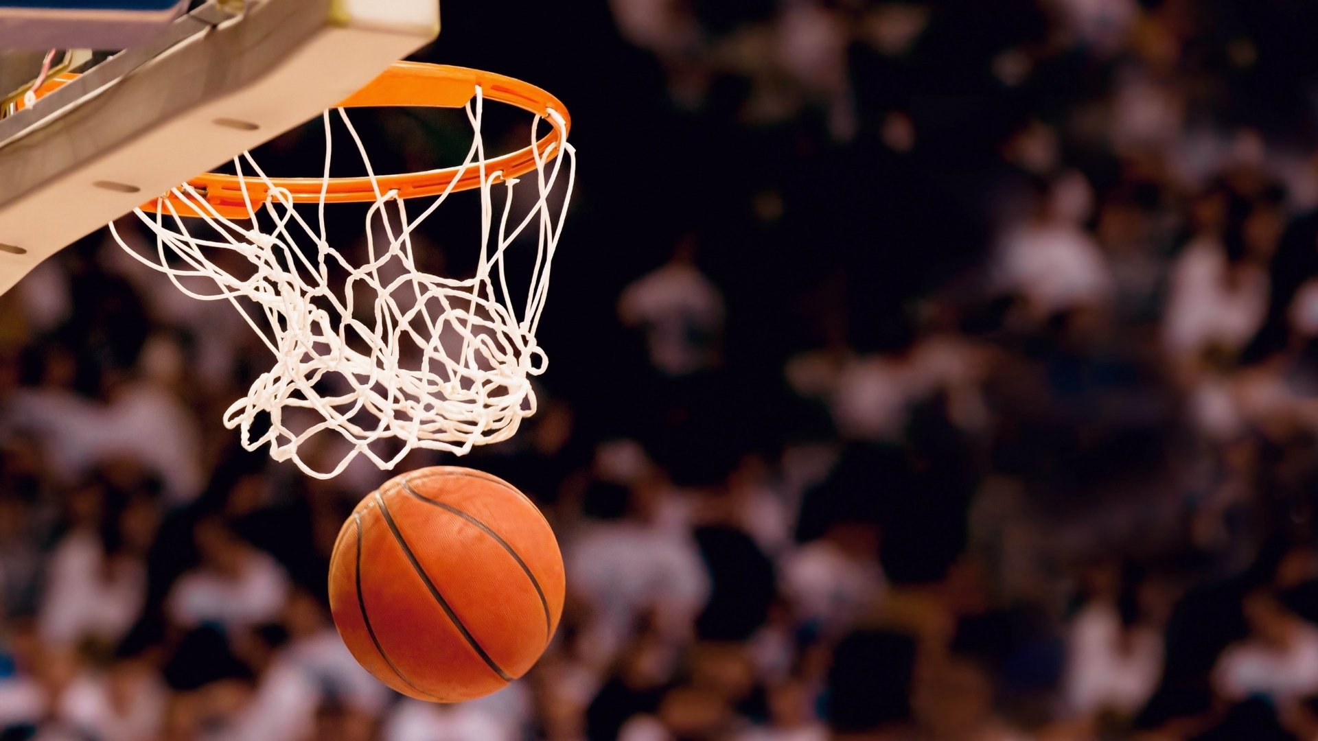 橙色风暴的黄昏,当瑞士的精密机械碾压过郁金香的华丽—F组焦点战,B费无冕之王的完美复仇